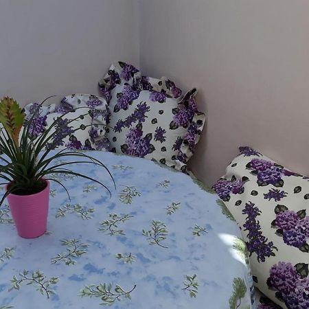 Mini Apartment Petra - Rooms Purple & Green With Kitchen And Garden Ντουμπρόβνικ Εξωτερικό φωτογραφία