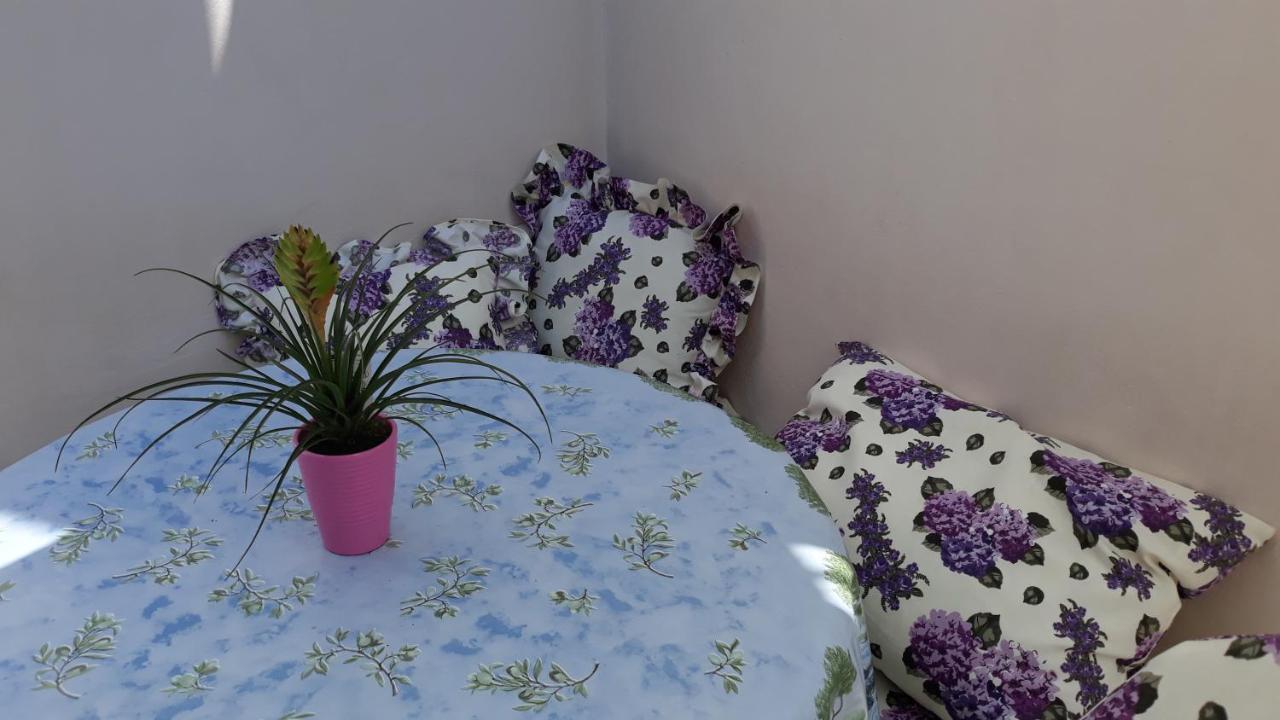 Mini Apartment Petra - Rooms Purple & Green With Kitchen And Garden Ντουμπρόβνικ Εξωτερικό φωτογραφία